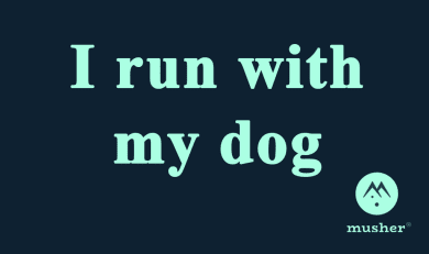 I RUN WITH MY DOG