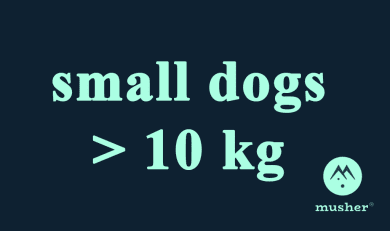 SMALL DOGS >10 kg
