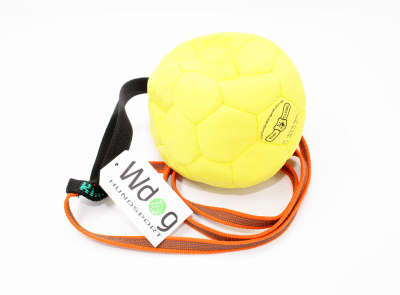 luftboll läderboll boll lina hund hundboll bollsnöre klin gappay läderboll uppblåsbar